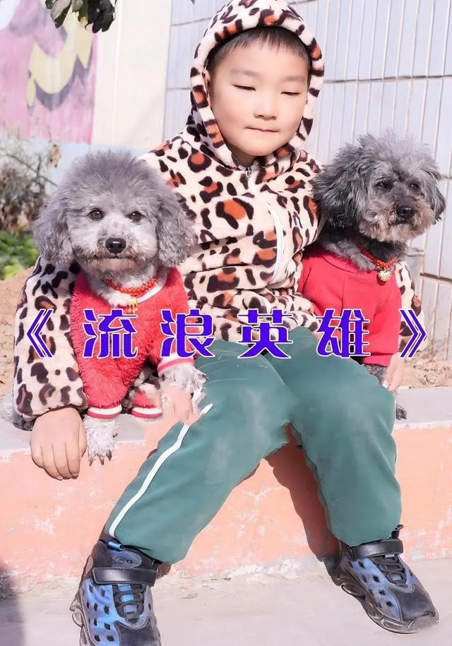 流浪英雄