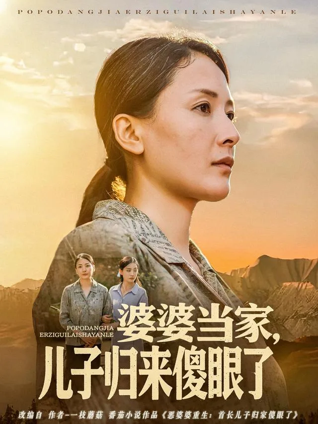 婆婆当家，儿子归来傻眼了