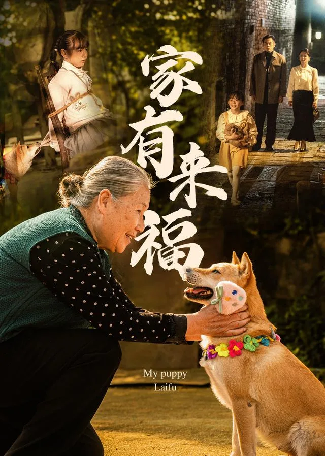 家有来福