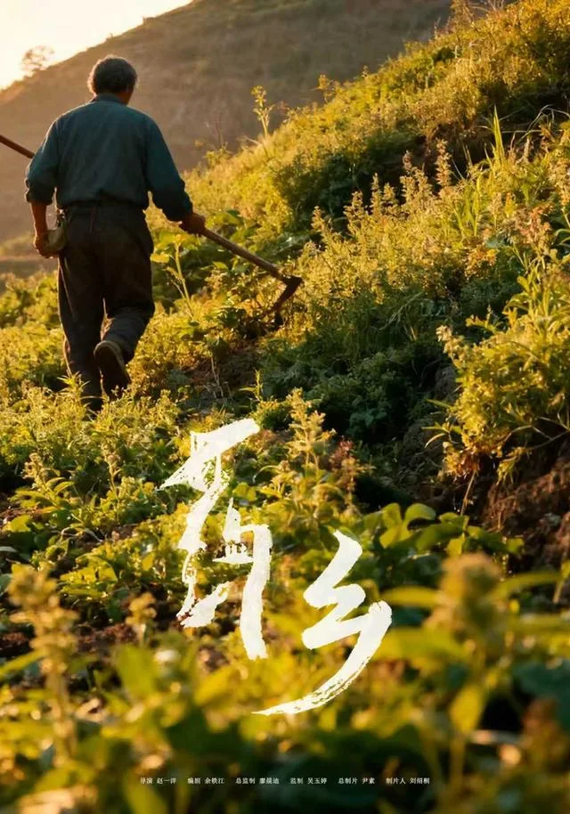 药乡