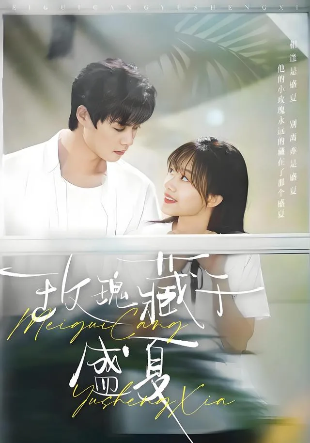 玫瑰藏于盛夏