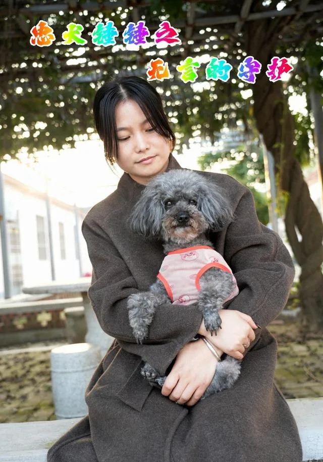 忠犬锤锤之无言的守护