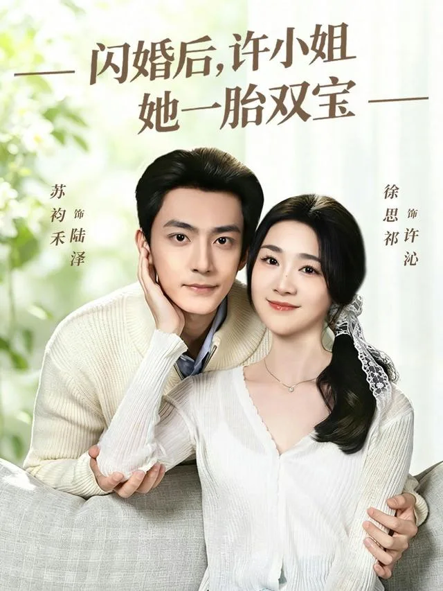 闪婚后，许小姐她一胎双宝