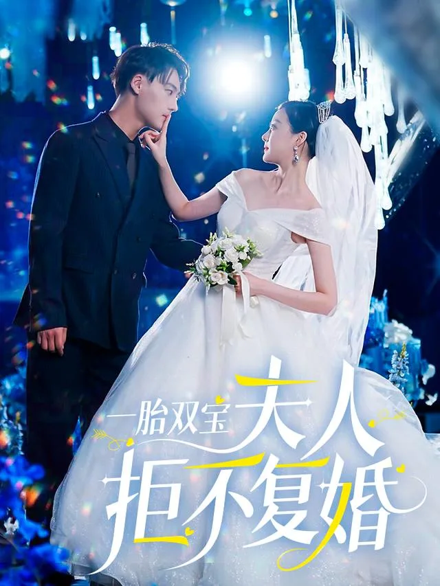 一胎双宝夫人拒不复婚