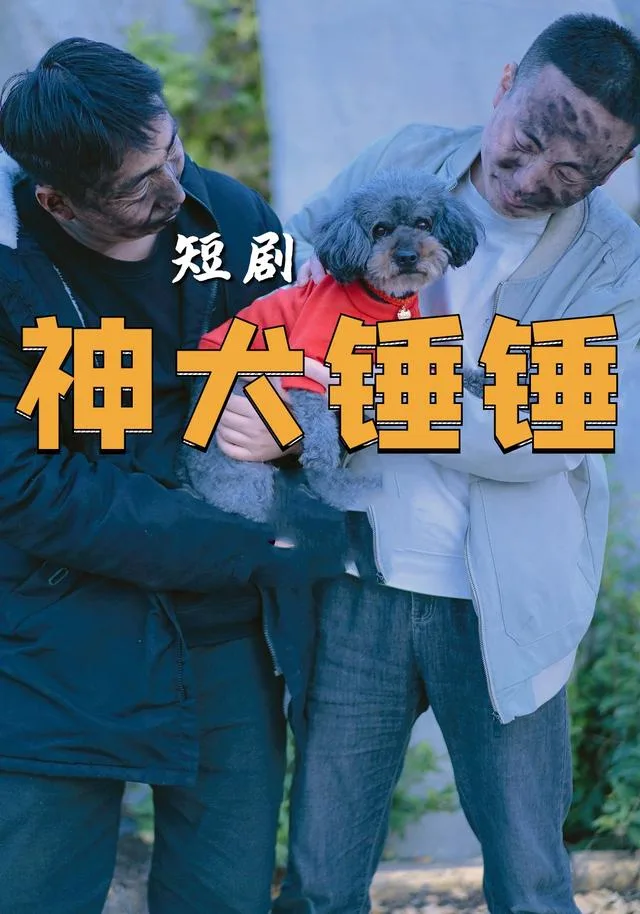 神犬锤锤