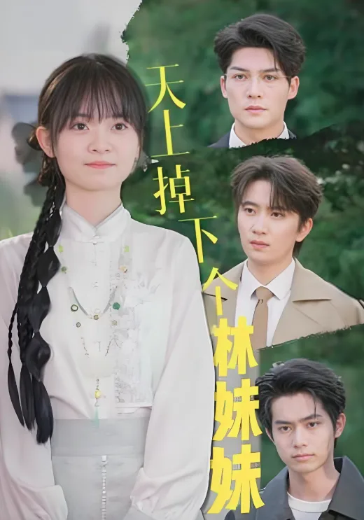 天上掉下个林妹妹