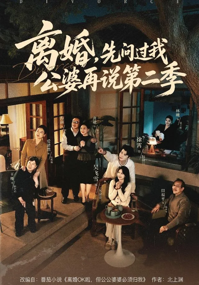 离婚，先问过我公婆再说第二季