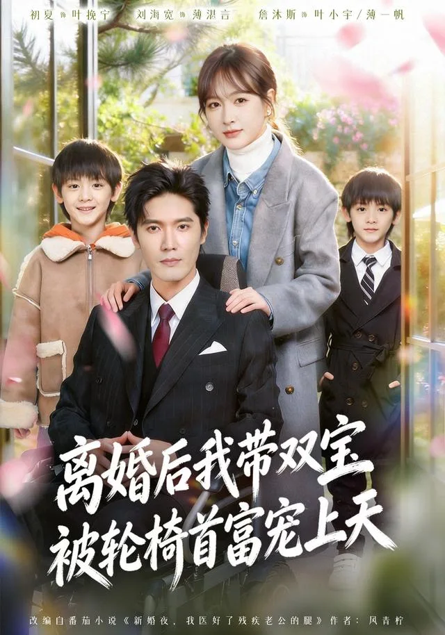 离婚后我带双宝被轮椅首富宠上天