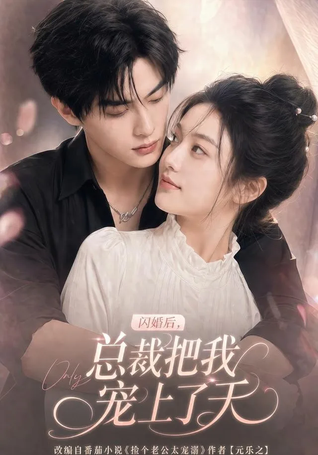 闪婚后，总裁把我宠上了天