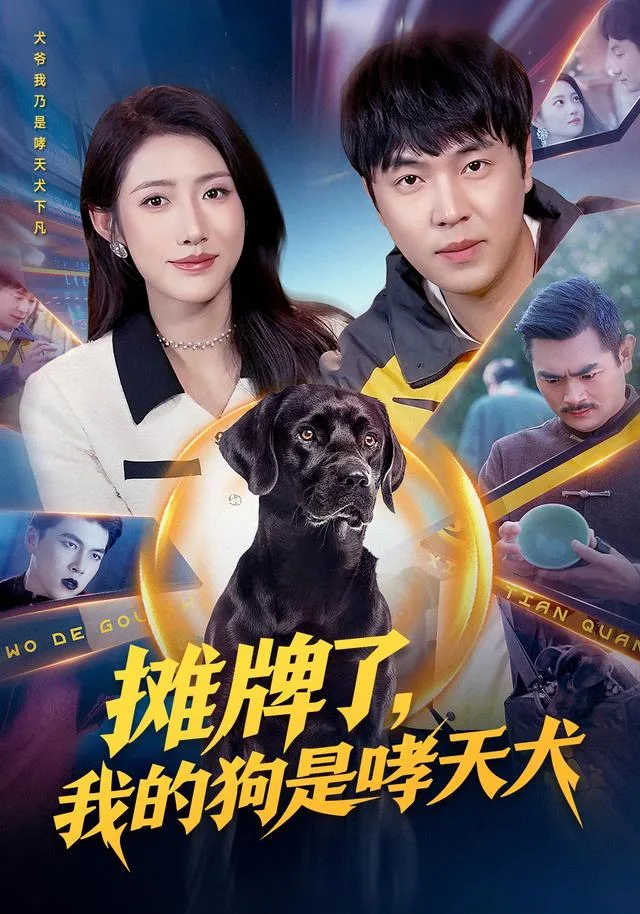 摊牌了，我的狗是哮天犬