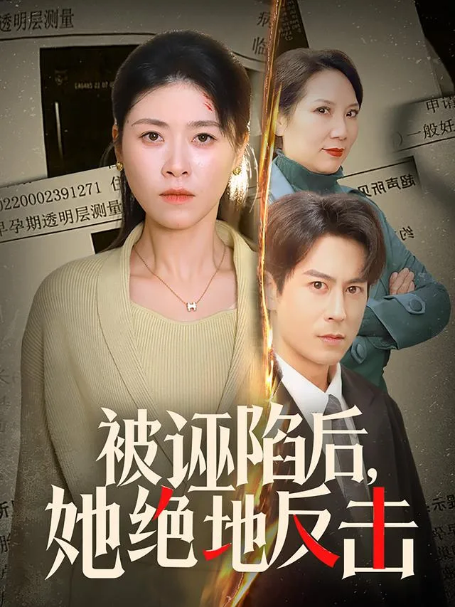 被诬陷后，她绝地反击