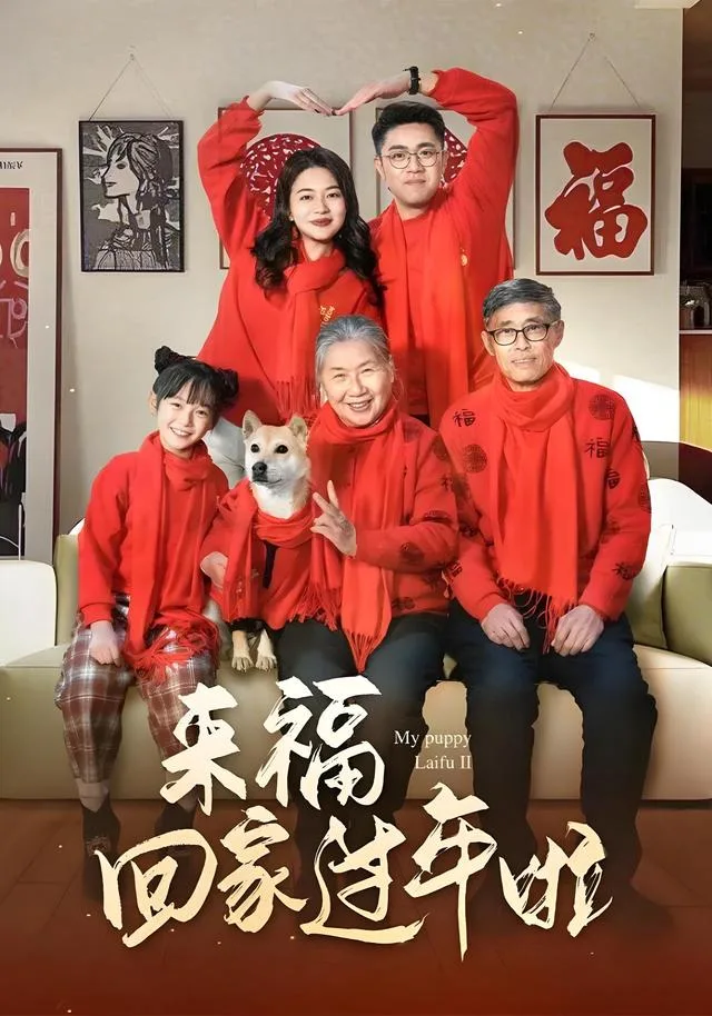 来福回家过年啦