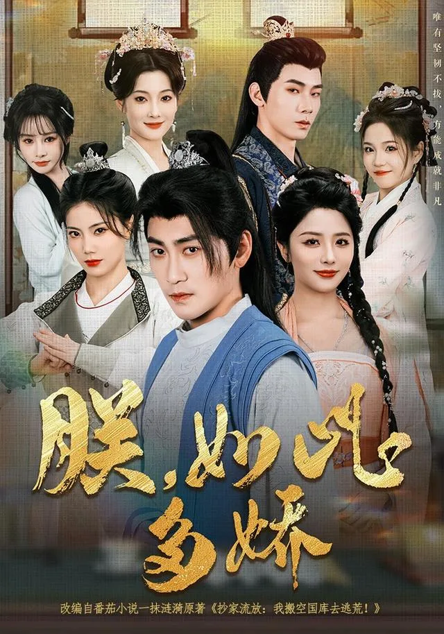 朕，如此多娇