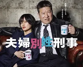 夫妇别姓刑警