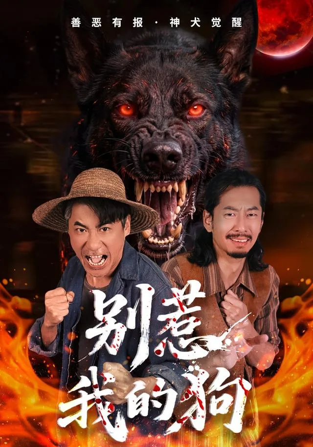 别惹我的狗