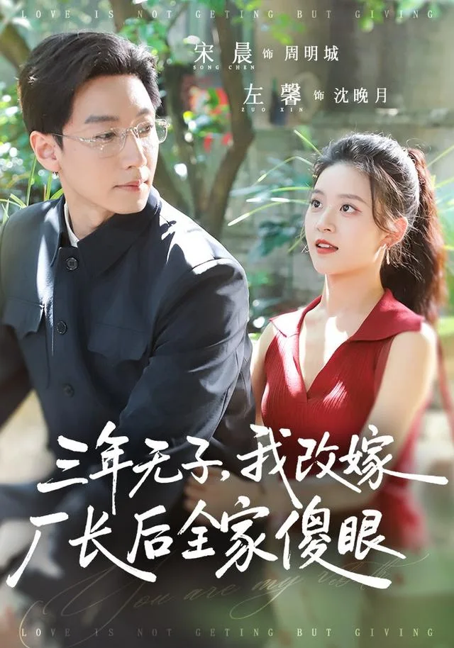 三年无子，我改嫁厂长后全家傻眼