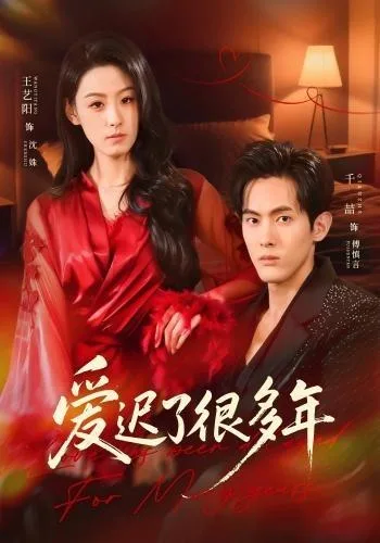 爱迟了很多年