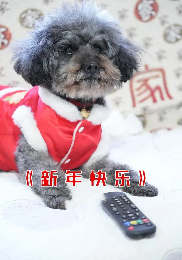 新年快乐