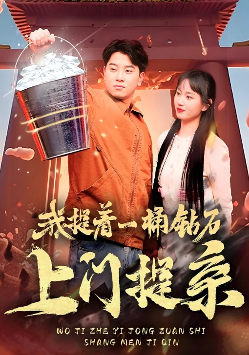 我提着一桶钻石上门提亲