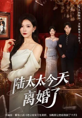 陆太太今天离婚了