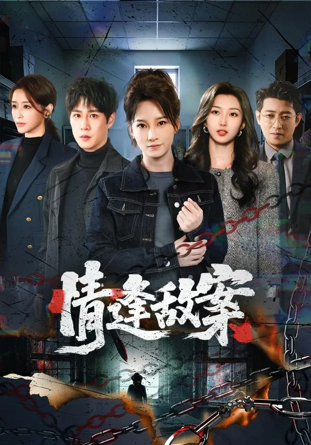 情逢敌案