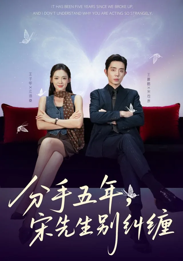 分手五年，宋先生别纠缠