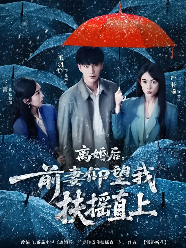 离婚后，前妻仰望我扶摇直上