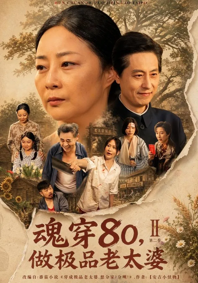魂穿80，做极品老太婆第二季