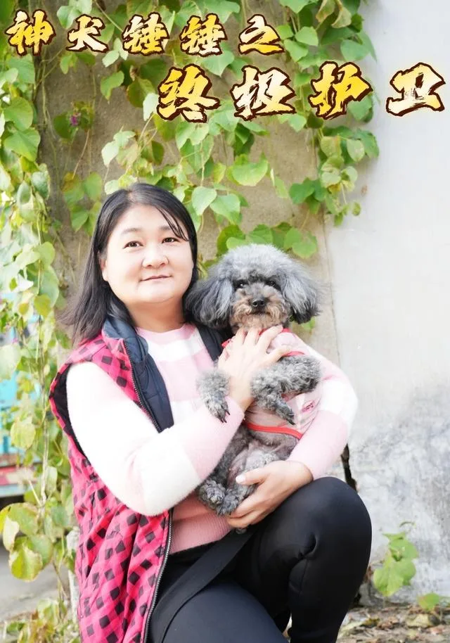 神犬锤锤之终极护卫