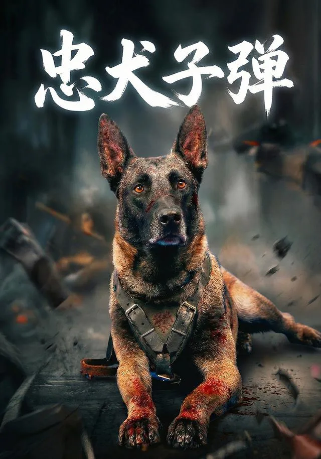 忠犬子弹
