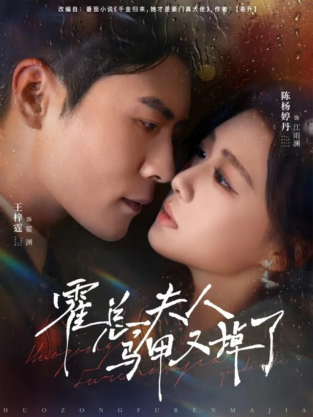 霍总，夫人马甲又掉了
