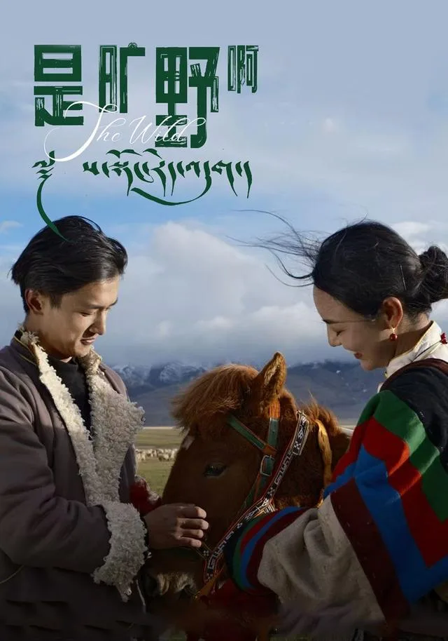 是旷野啊