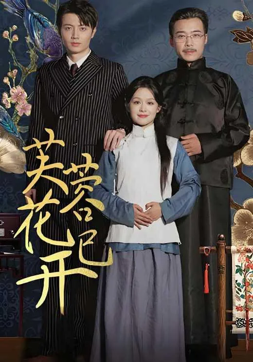 芙蓉花已开