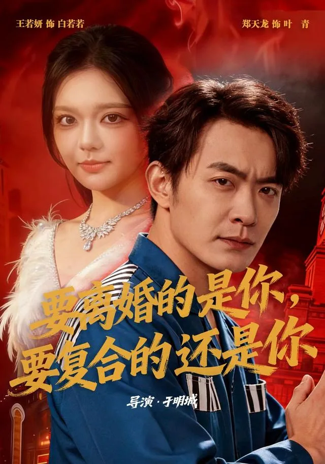 要离婚的是你，要复合的还是你