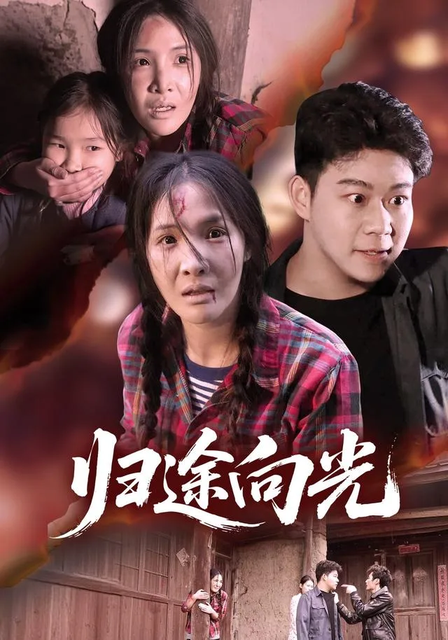 归途向光