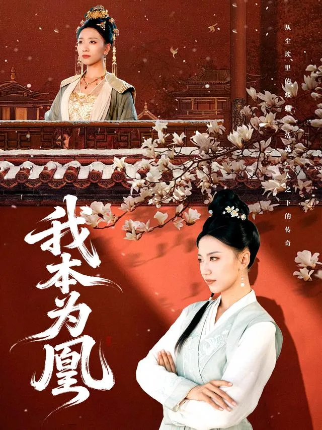 我本为凰