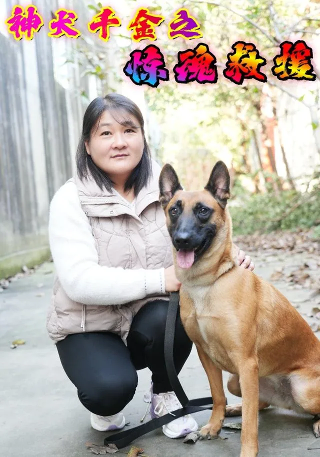 神犬千金之惊魂救援
