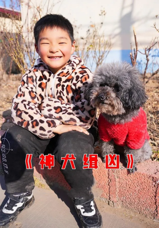 神犬缉凶