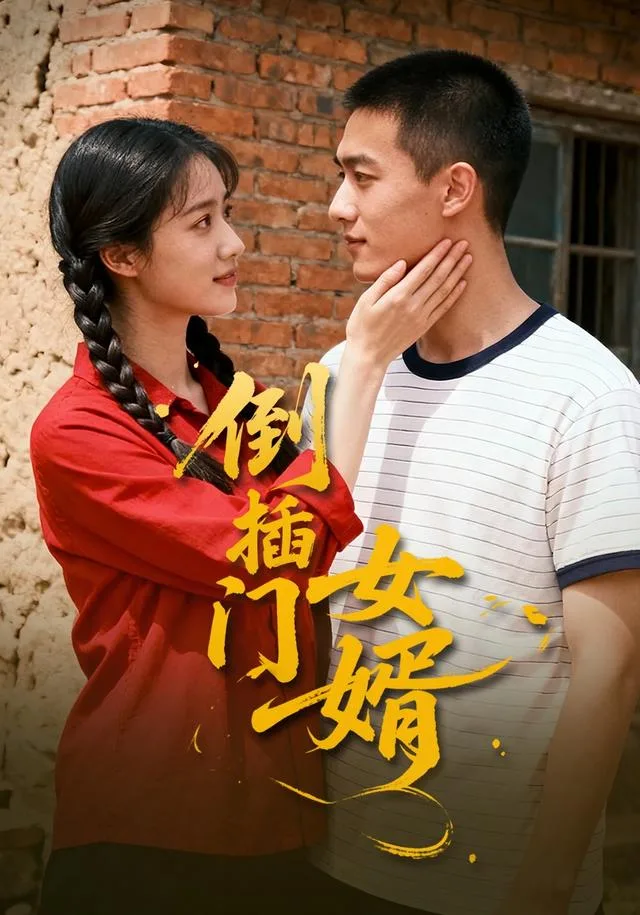 倒插门女婿